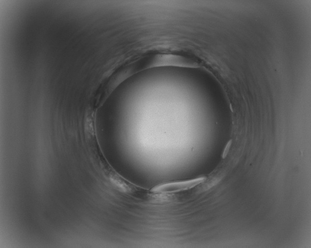 X0000070200432200606021234