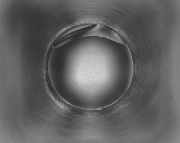 X0000070200438200606021233