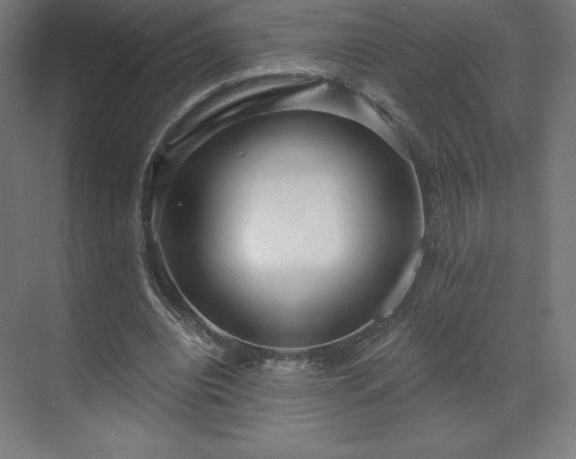 X0000070200440200606021233