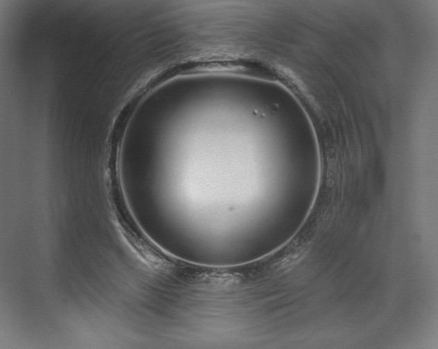 X0000070200443200606021233