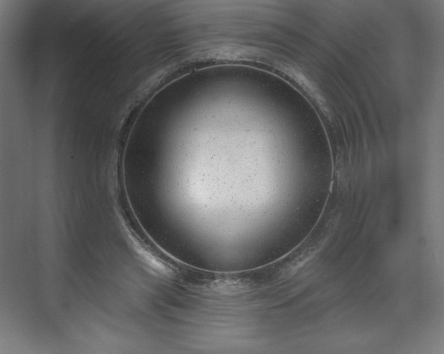 X0000070200445200606021233