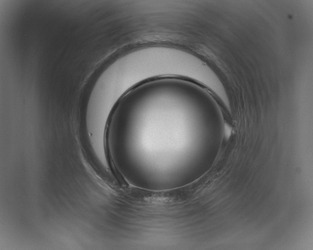 X0000070200448200606021233
