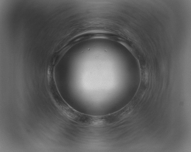 X0000070200456200606021234