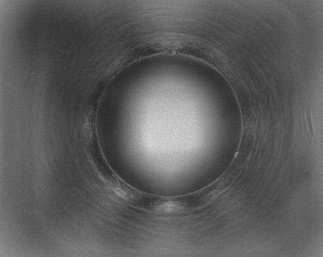 X0000070200460200606021234