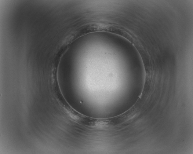 X0000070200462200606021234