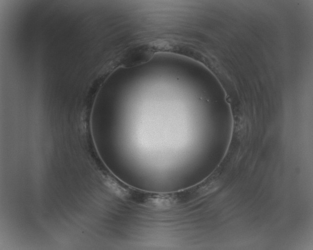 X0000070200466200606021234
