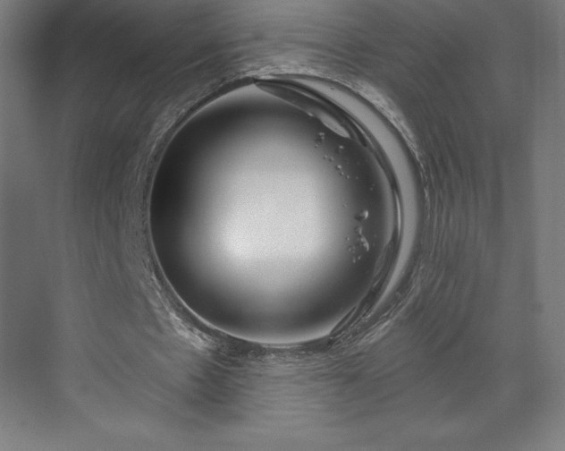 X0000070200481200606021233