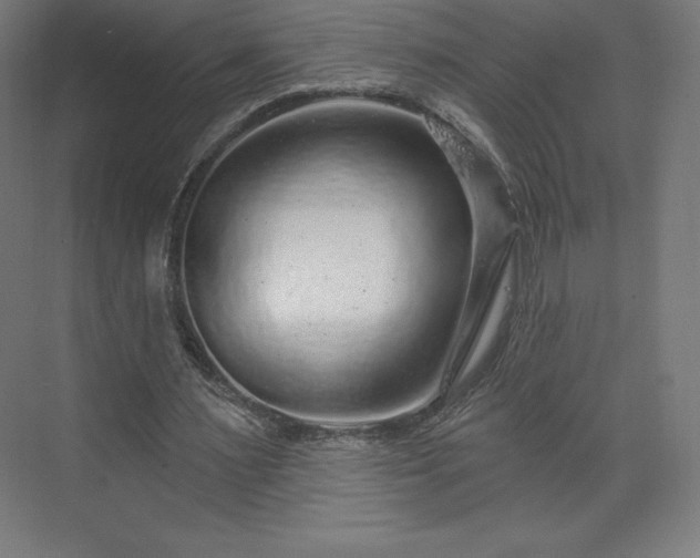 X0000070200483200606021233