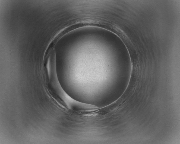 X0000070200484200606021233