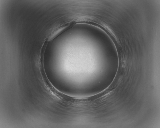 X0000070200485200606021233