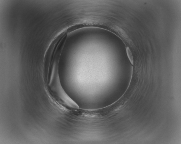 X0000070200488200606021233