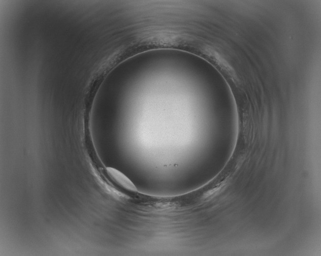 X0000070200493200606021233