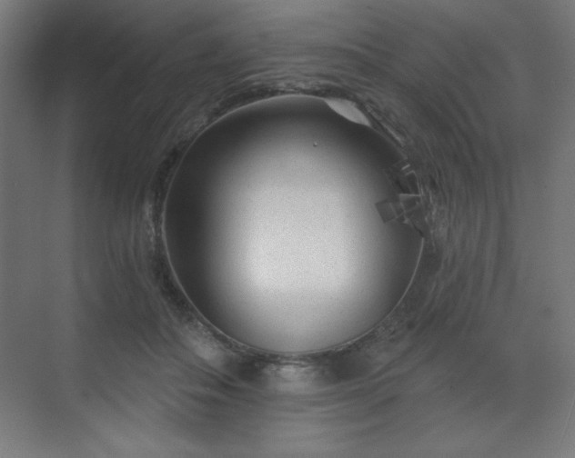 X0000070200506200606021233