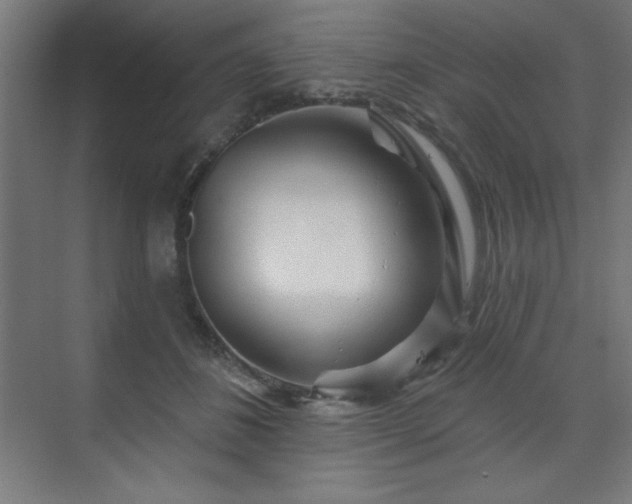 X0000070200508200606021233
