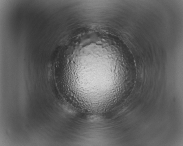 X0000070200511200606021233