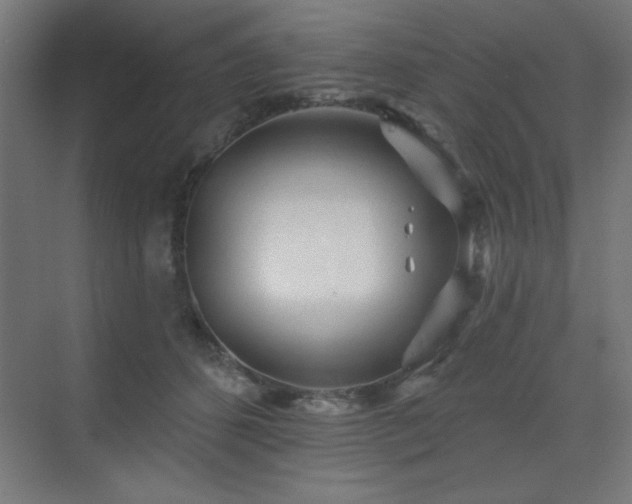 X0000070200512200606021233