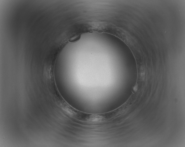 X0000070200514200606021233
