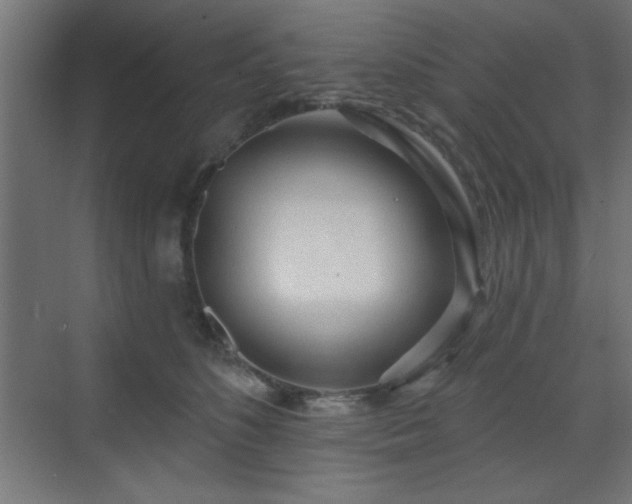 X0000070200516200606021233