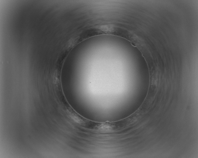 X0000070200518200606021232