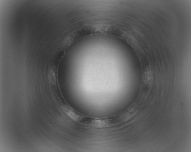 X0000070200522200606021232