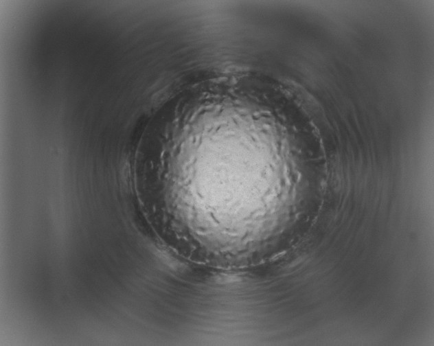 X0000070200523200606021232