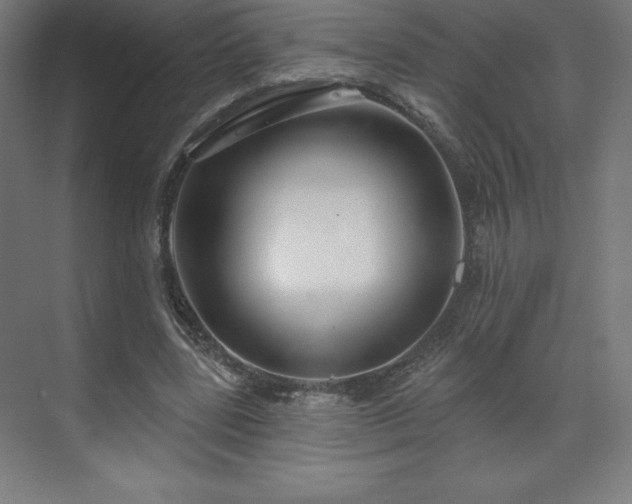 X0000070200539200606021232