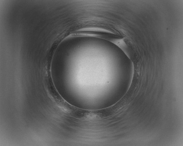 X0000070200547200606021232