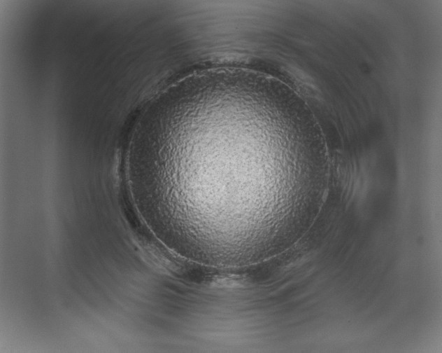 X0000070200550200606021232