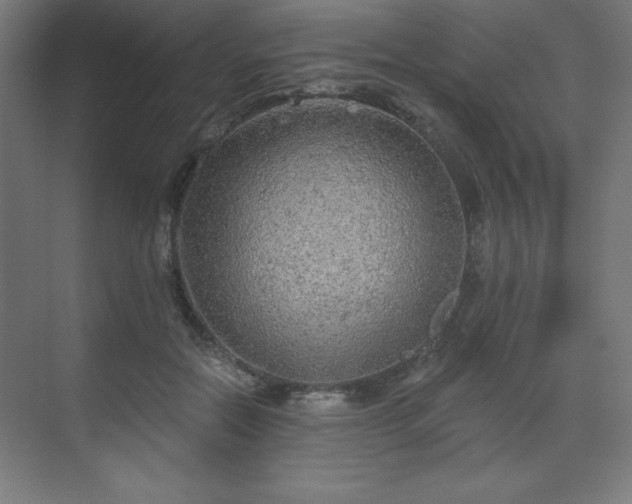 X0000070200554200606021232