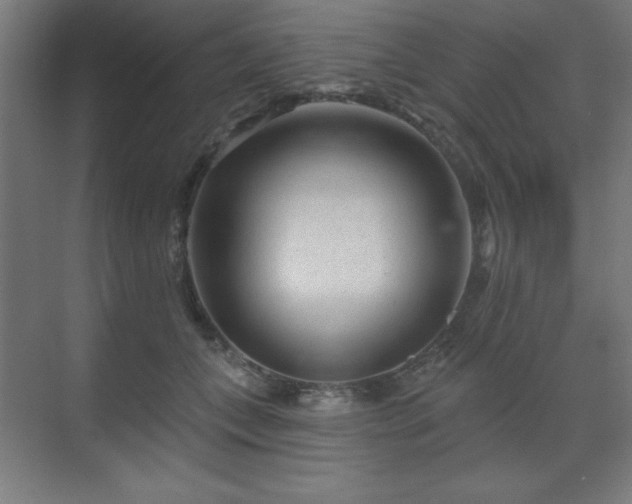 X0000070200559200606021232