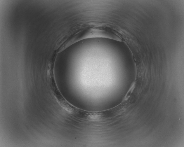 X0000070200560200606021232