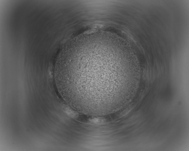 X0000070200561200606021232