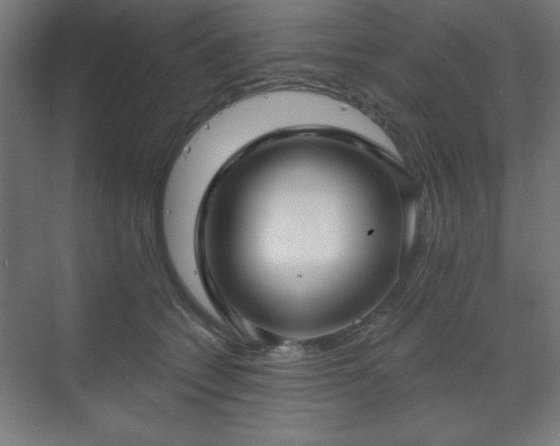 X0000070200562200606021232