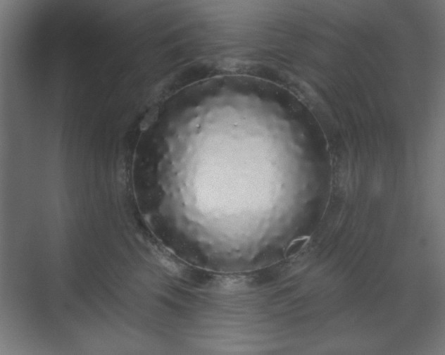 X0000070200569200606021232