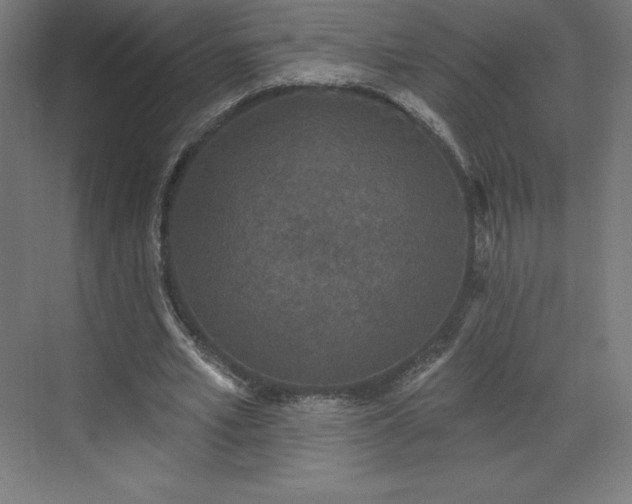 X0000070200581200606021231