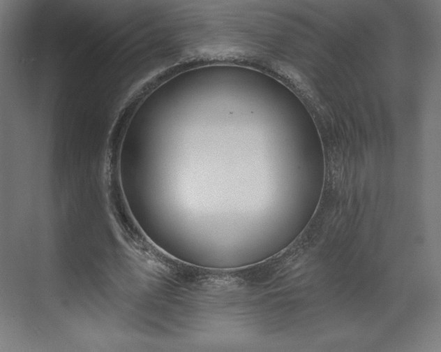 X0000070200583200606021231