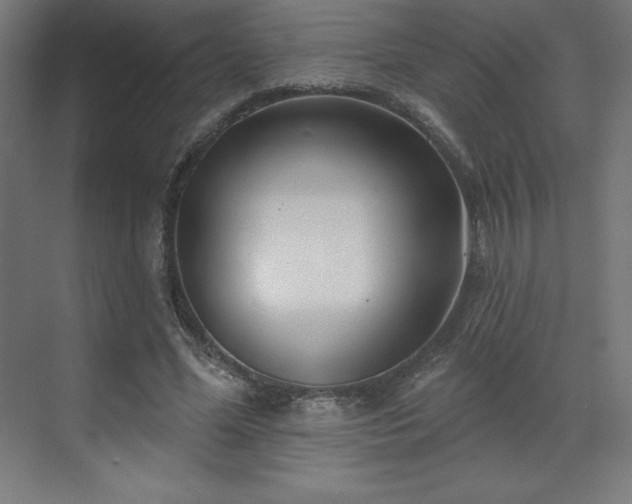 X0000070200588200606021231