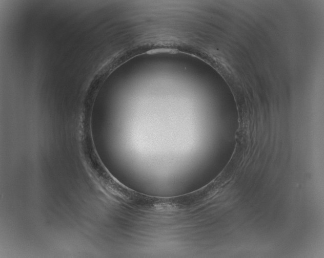 X0000070200591200606021231