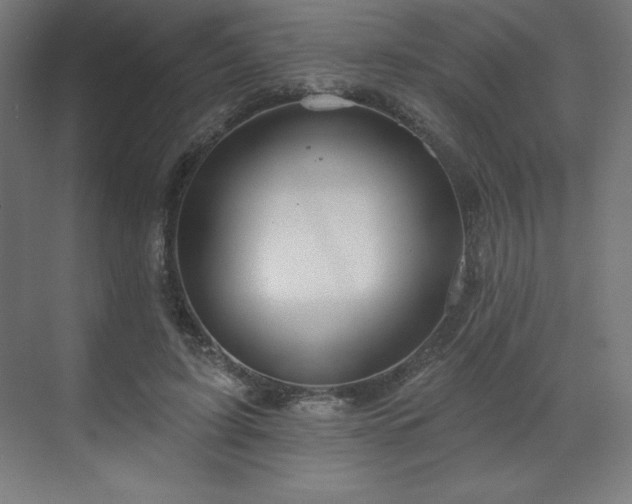 X0000070200595200606021231