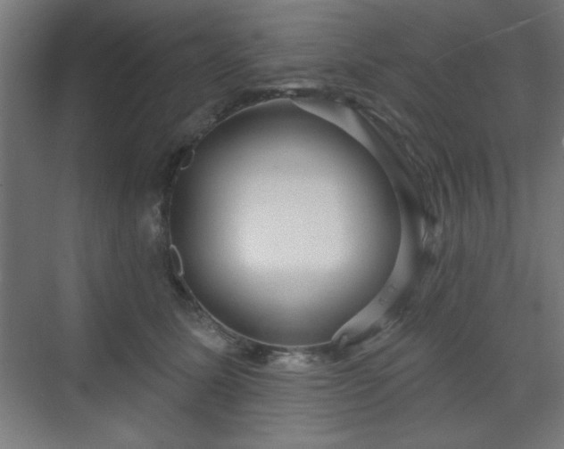 X0000070200611200606021231