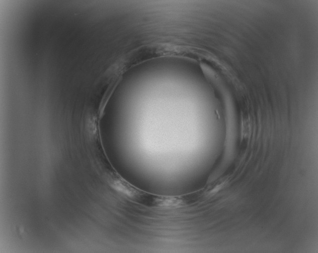 X0000070200621200606021231