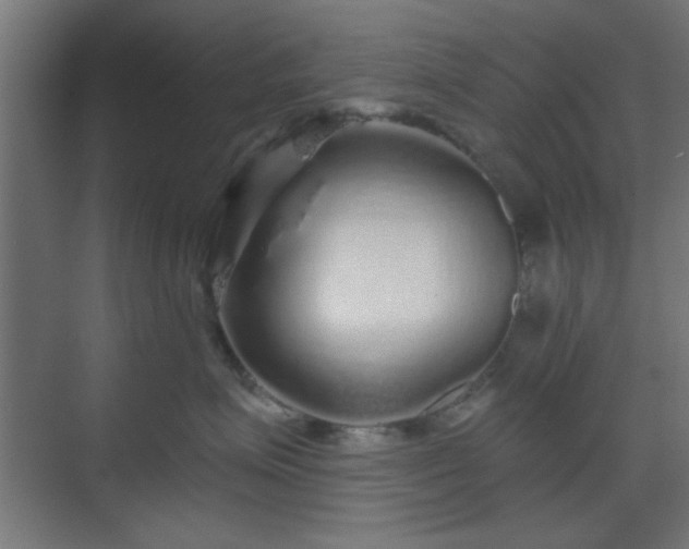 X0000070200623200606021231