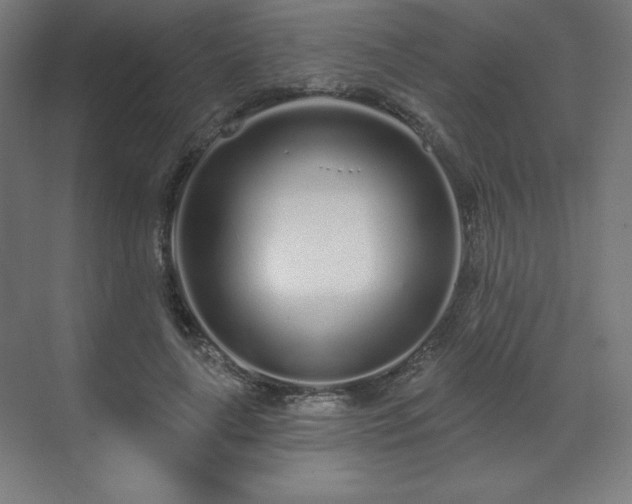 X0000070200643200606021230