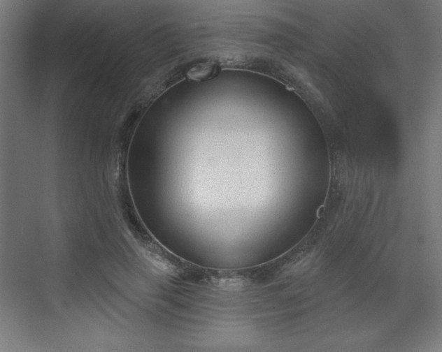 X0000070200645200606021230