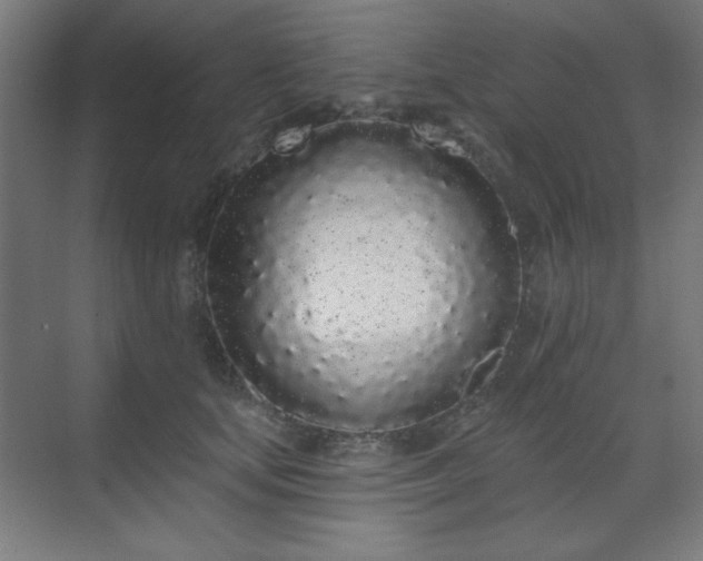 X0000070200659200606021230