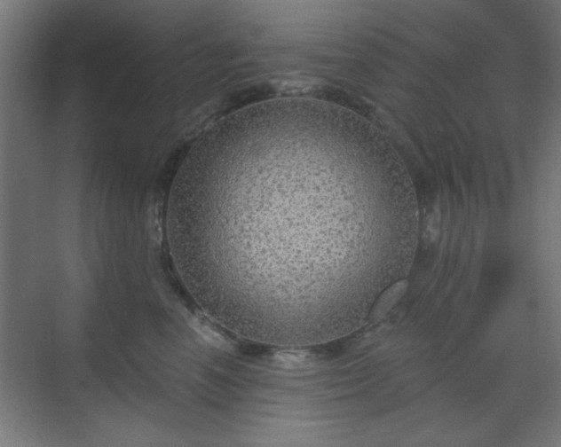 X0000070200666200606021231