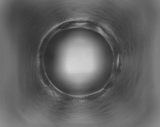 X0000070200676200606021230