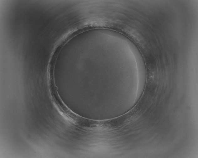 X0000070200678200606021230