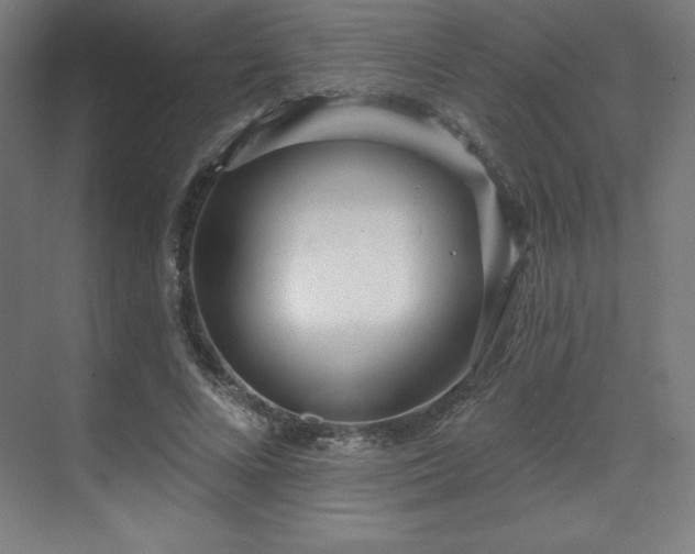 X0000070200688200606021230