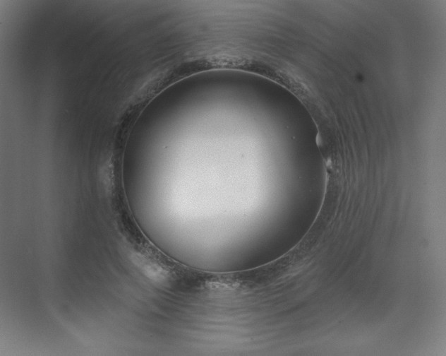 X0000070200690200606021230